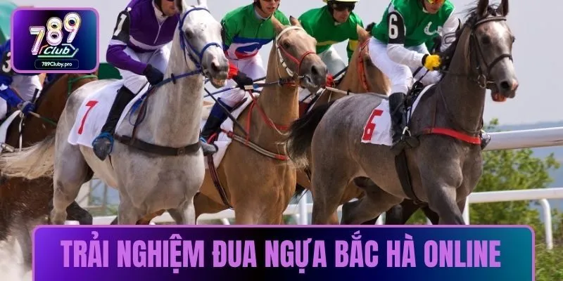 Trải nghiệm đua ngựa Bắc Hà online