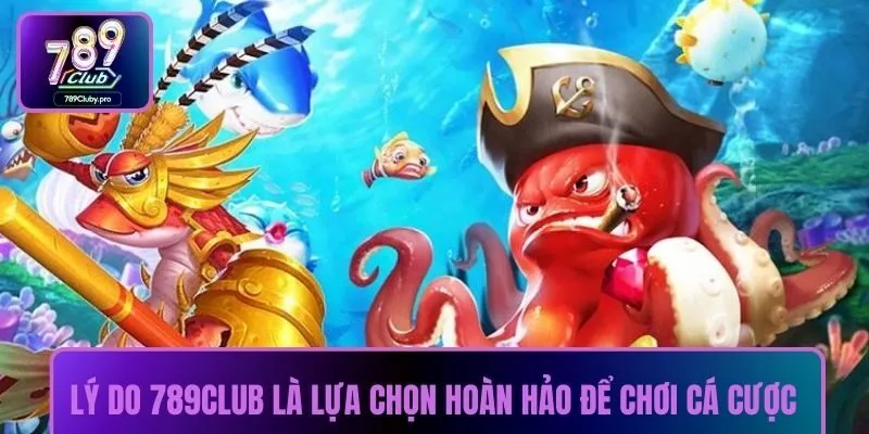Lý do 789CLUB là lựa chọn hoàn hảo để chơi cá cược