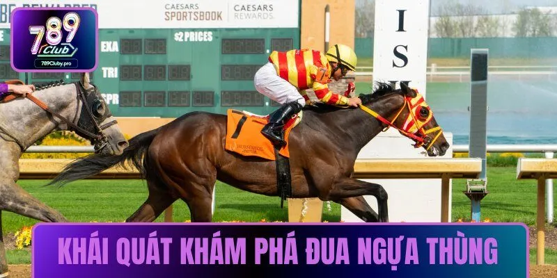 Khái quát về khám phá đua ngựa thùng