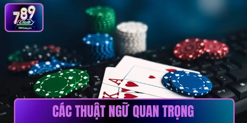Các thuật ngữ quan trọng