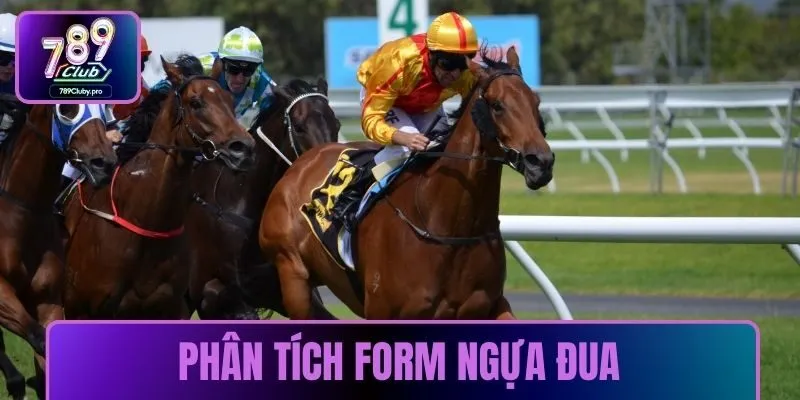 Phân tích form ngựa đua