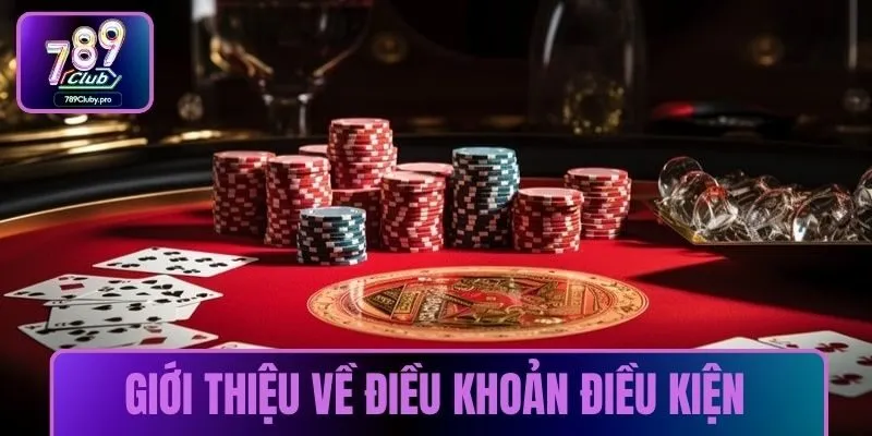 Giới thiệu về điều khoản điều kiện thành viên hệ thống