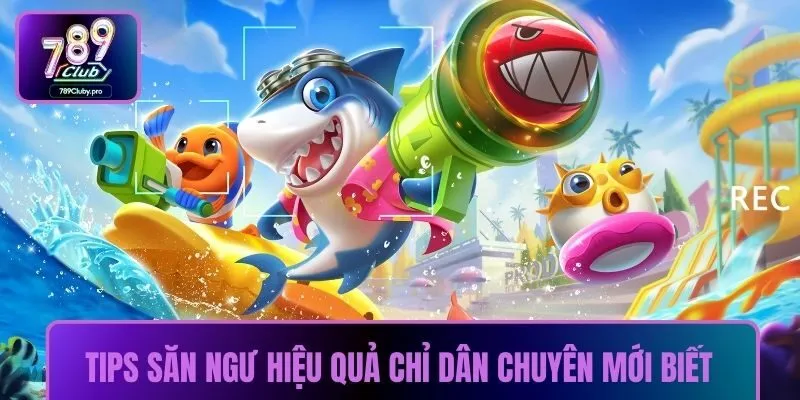 Tips săn ngư hiệu quả chỉ dân chuyên mới biết