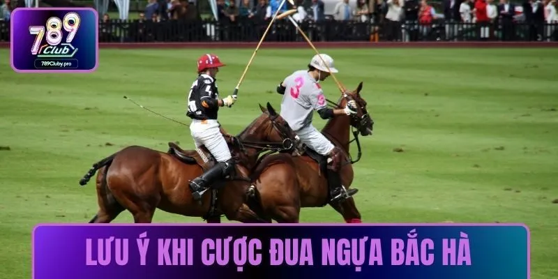 Lưu ý khi cược đua ngựa Bắc Hà